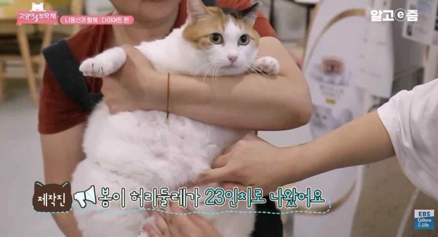 허리둘레 23인치에서 나오는 폭력적인 바디라인_3.webp