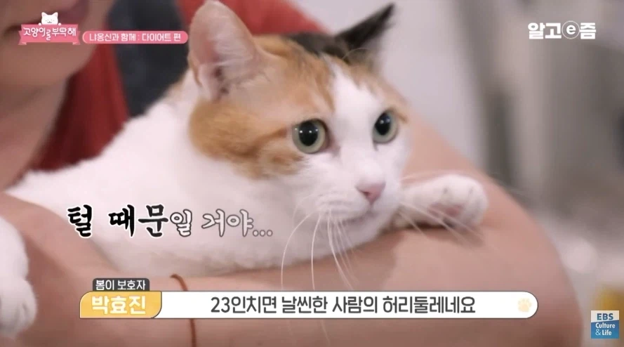 허리둘레 23인치에서 나오는 폭력적인 바디라인_4.webp