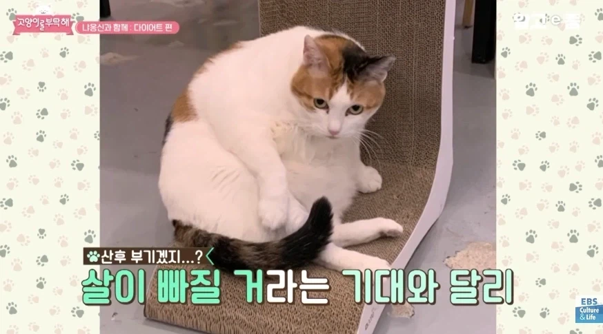 허리둘레 23인치에서 나오는 폭력적인 바디라인_5.webp