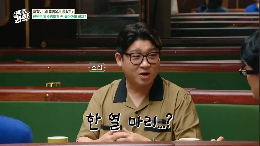 한국에 호랑이가 다시 돌아왔으면 좋겠다.jpg_4.webp