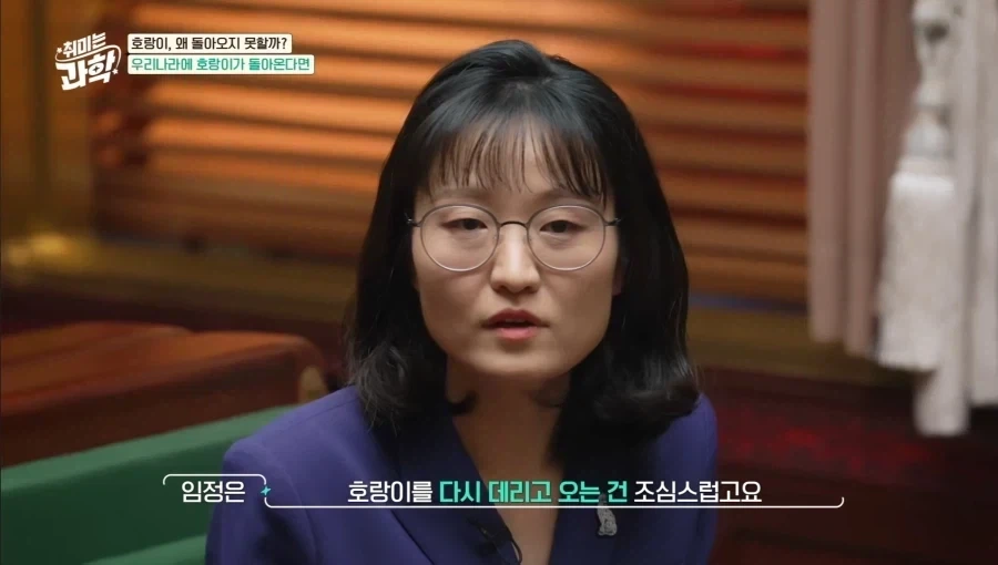 한국에 호랑이가 다시 돌아왔으면 좋겠다.jpg_8.webp