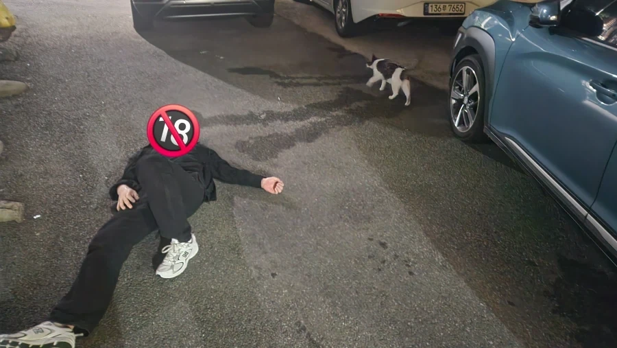 술 먹다 길고양이 만남_5.webp