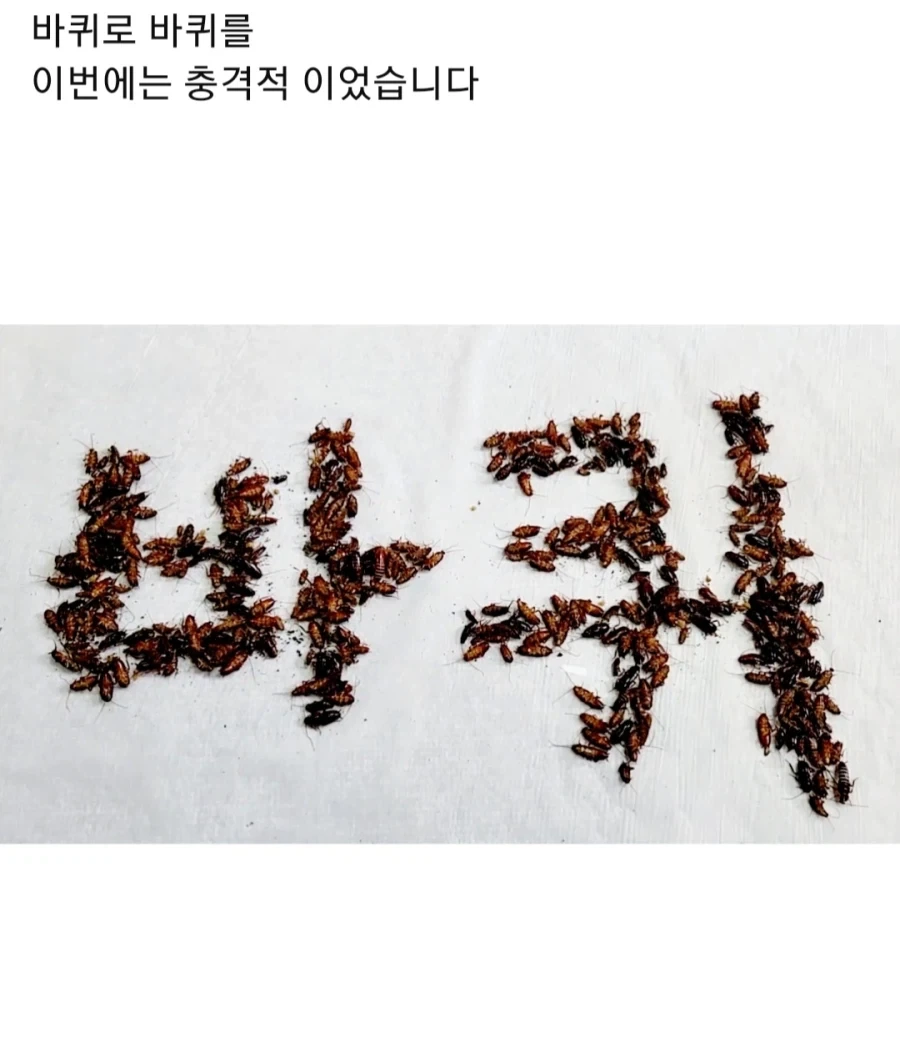 혐)