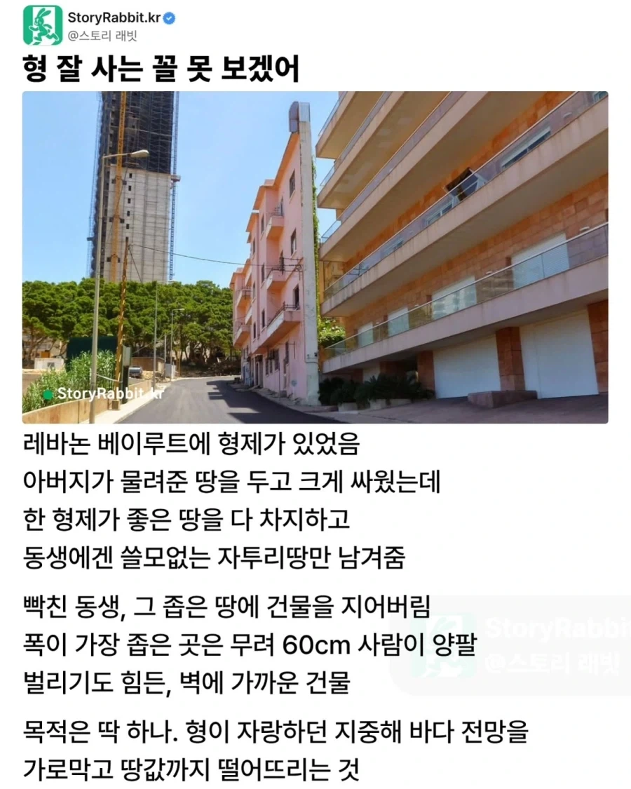 형 엿먹이려던 동생의 최후.jpg_1.webp