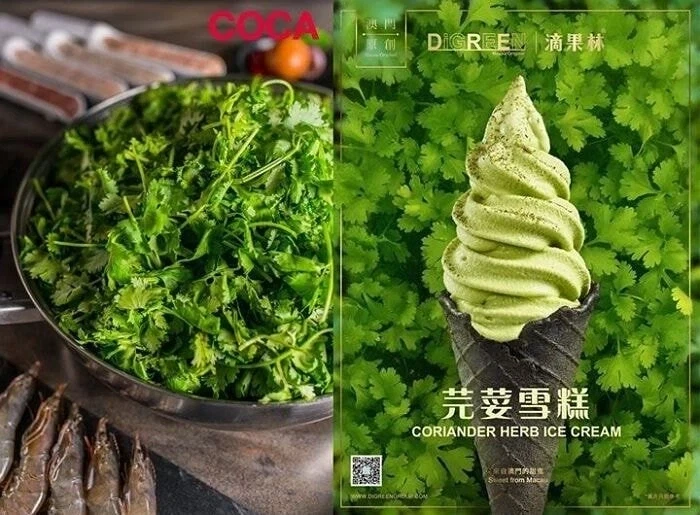 다양한 아이스크림의 세계.jpg_4.webp