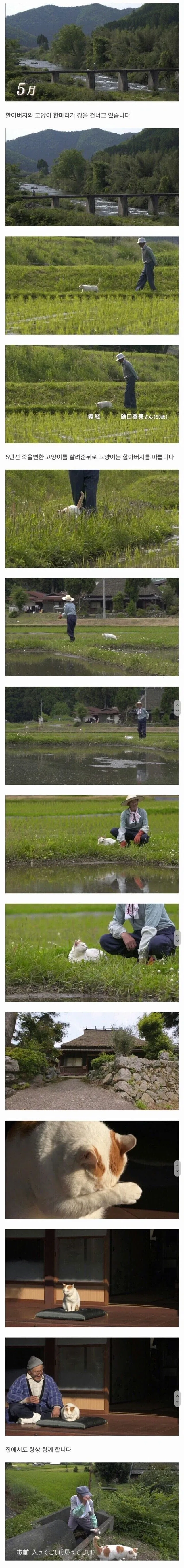 할아버지와 고양이_1.webp