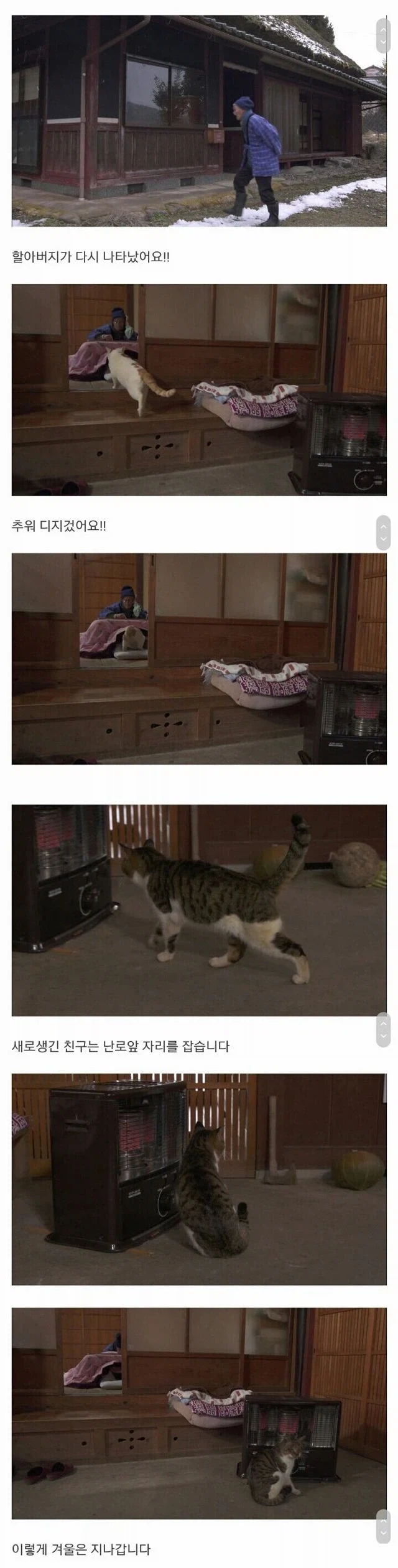 할아버지와 고양이_4.webp