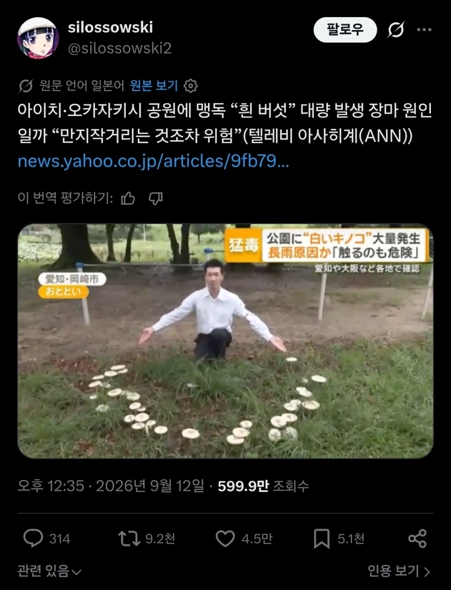 일본 공원에 맹독버섯이 대량으로 발생했다는 기사.twit_1.webp