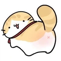 [담배고양이] 콘요약_3.webp