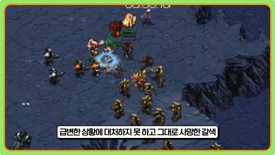 스타 입구막기 이랏샤이마세가 잘못이 없는 이유.jpg_4.webp