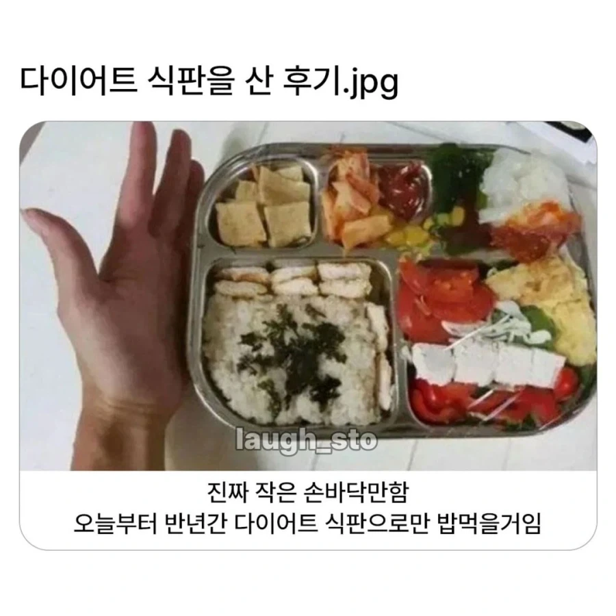 다이어트 식판을 산 후기_1.webp