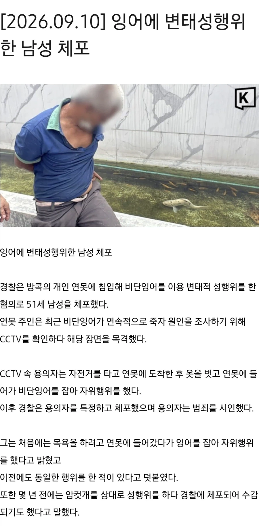 연못잉어가 계속 죽은 이유_1.webp