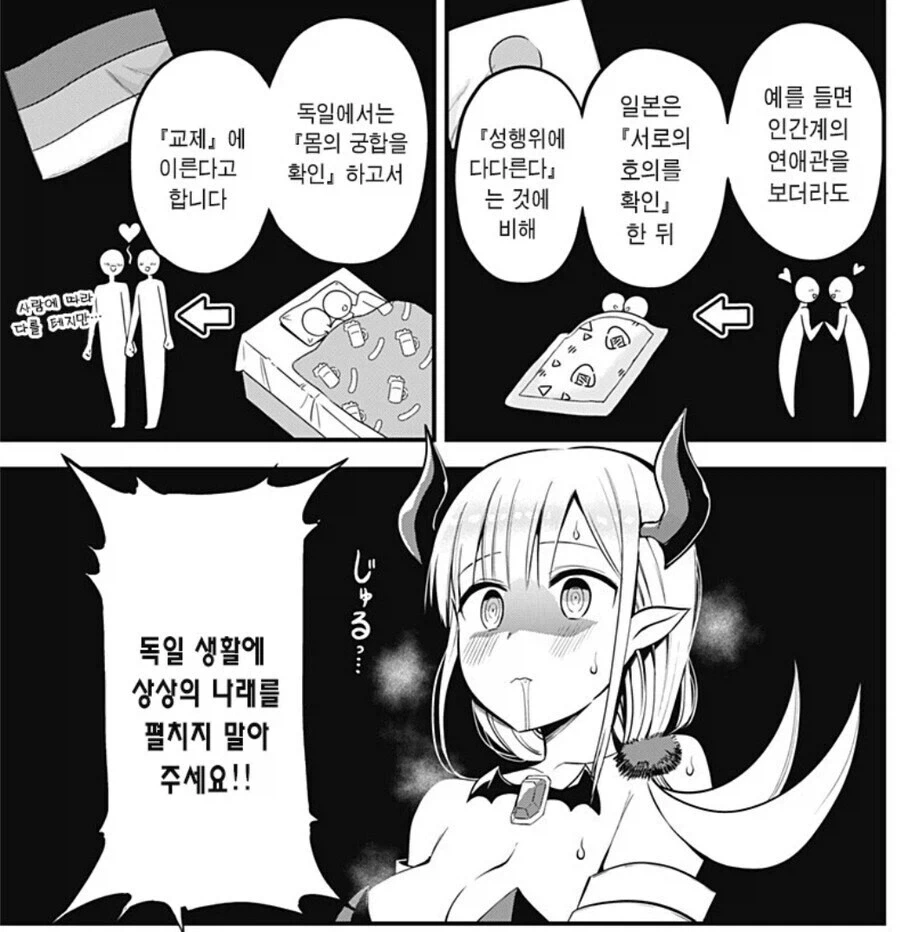 독일에 환상을 품게 된 일본산 서큐벗으.jpg_1.webp