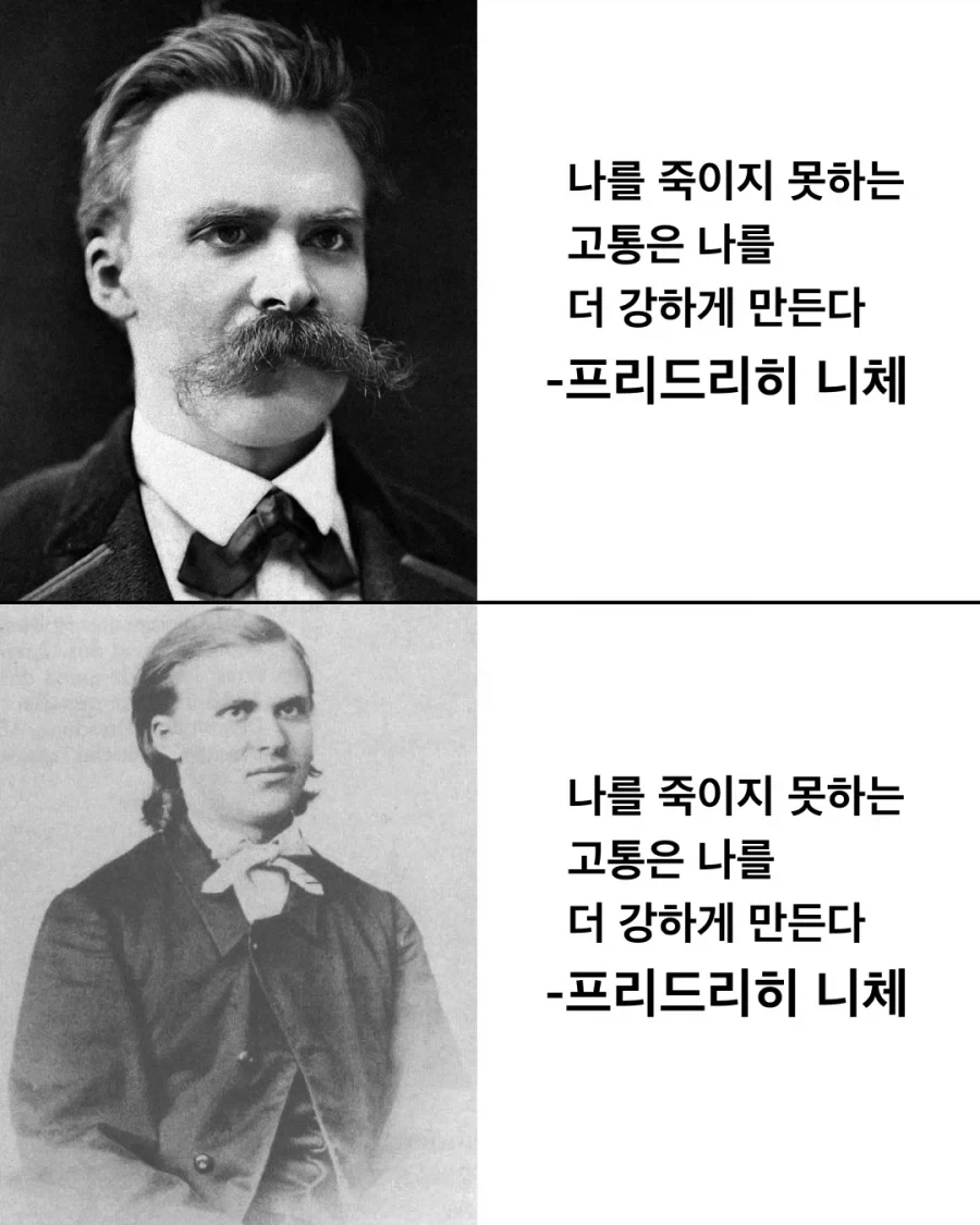 니체다움 vs 니붕쿤_2.webp