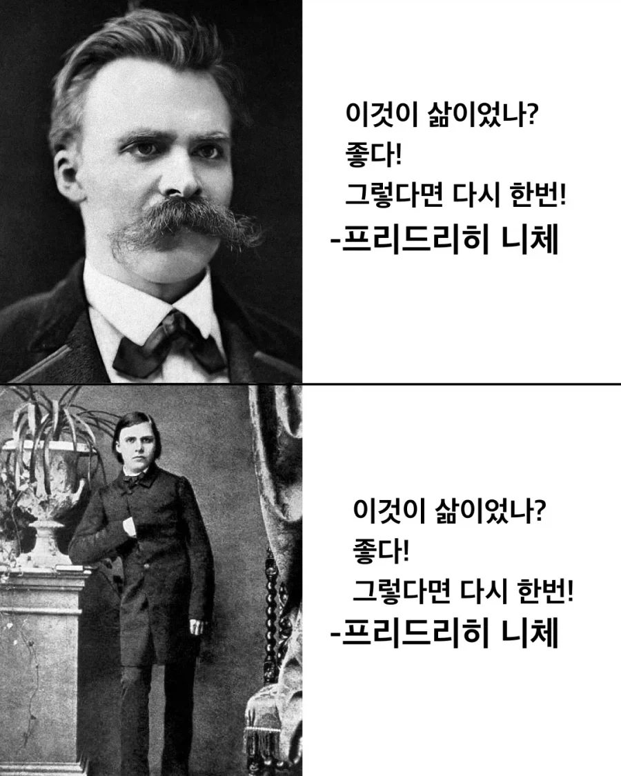 니체다움 vs 니붕쿤_3.webp