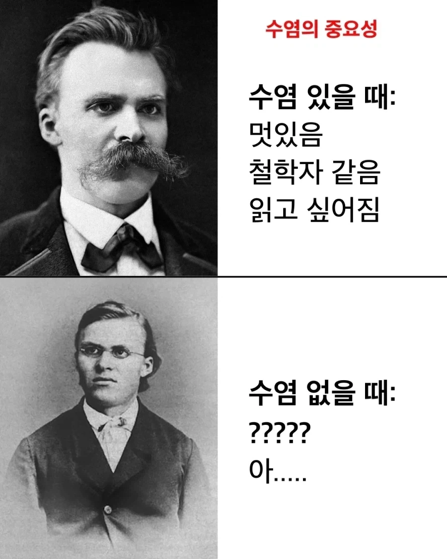 니체다움 vs 니붕쿤_4.webp