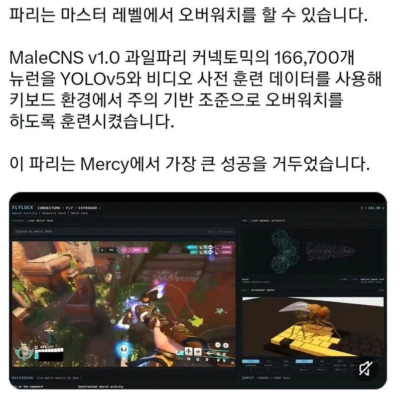 오버워치 메르시 특_1.webp