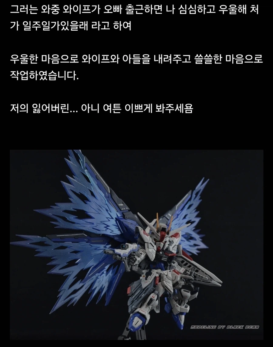 와이프를 처가에 보내고 쓸쓸해서 만든것_2.webp