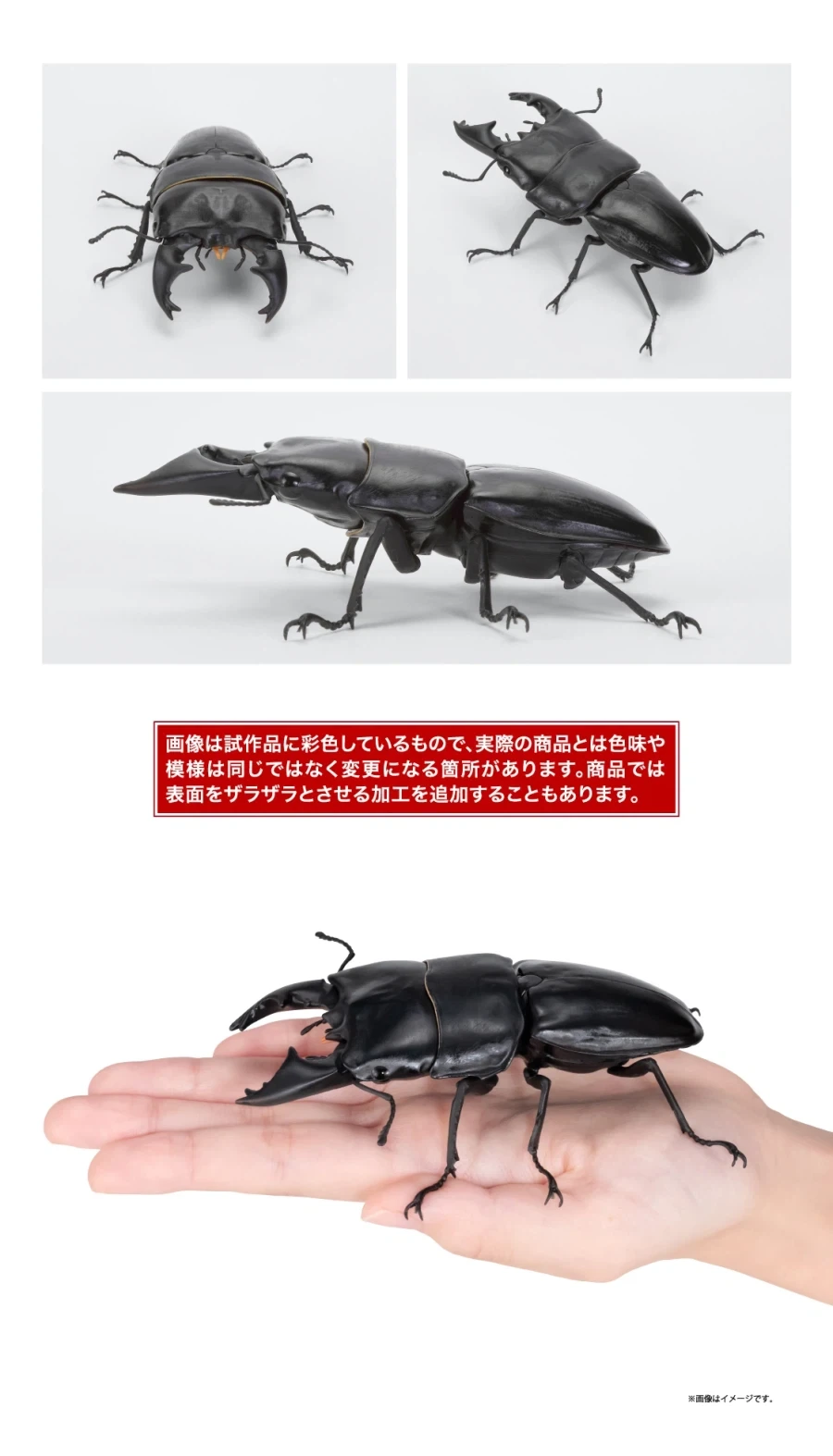 [반다이가샤폰] 생물대도감 쿠와가타(사슴벌레) 13_8.webp