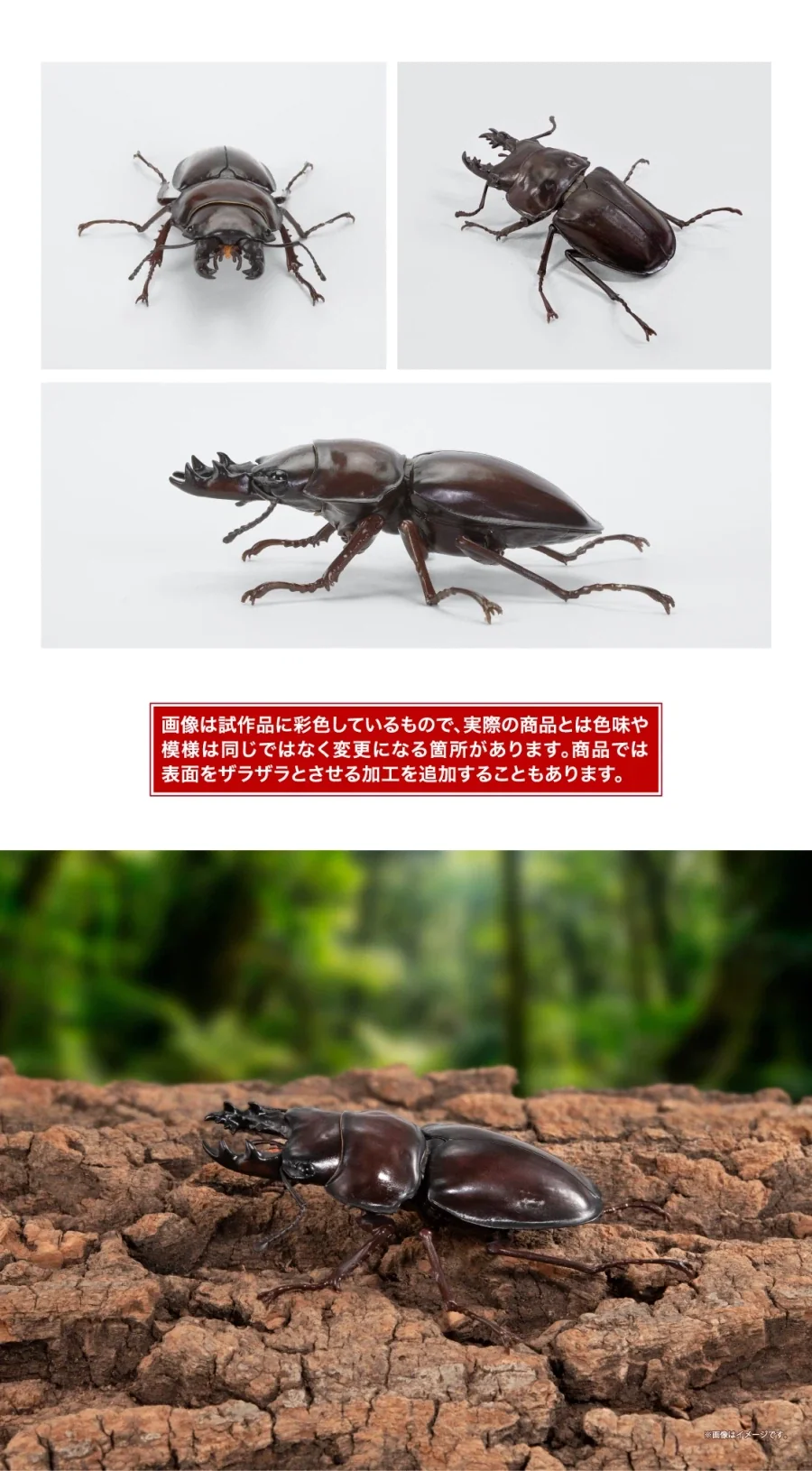 [반다이가샤폰] 생물대도감 쿠와가타(사슴벌레) 13_10.webp