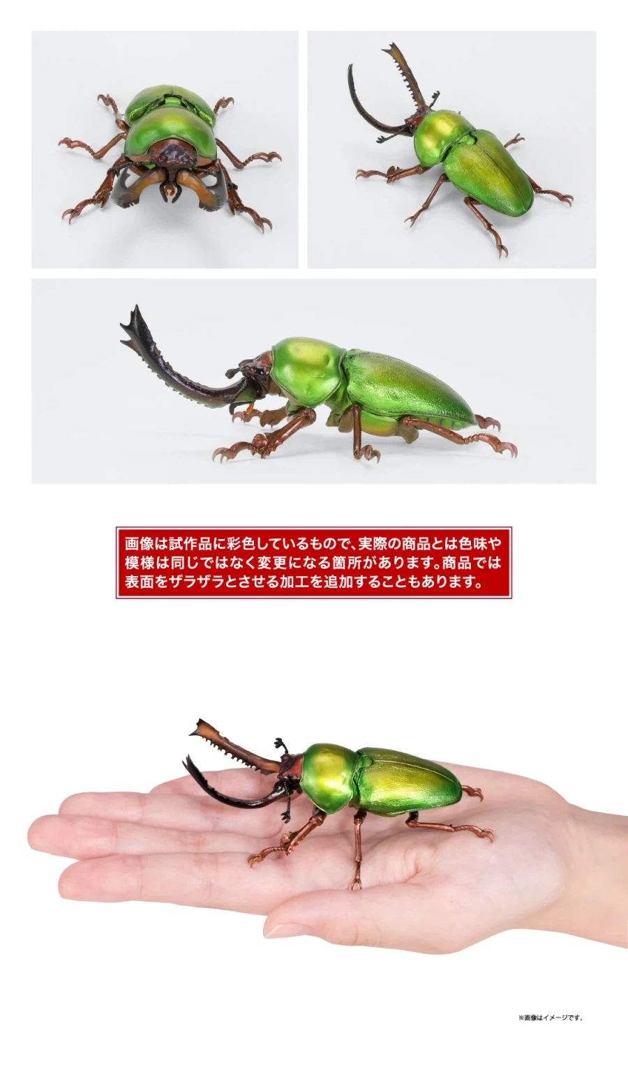 [반다이가샤폰] 생물대도감 쿠와가타(사슴벌레) 13_12.webp