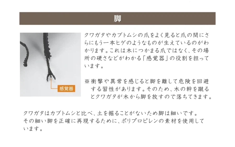 [반다이가샤폰] 생물대도감 쿠와가타(사슴벌레) 13_20.webp