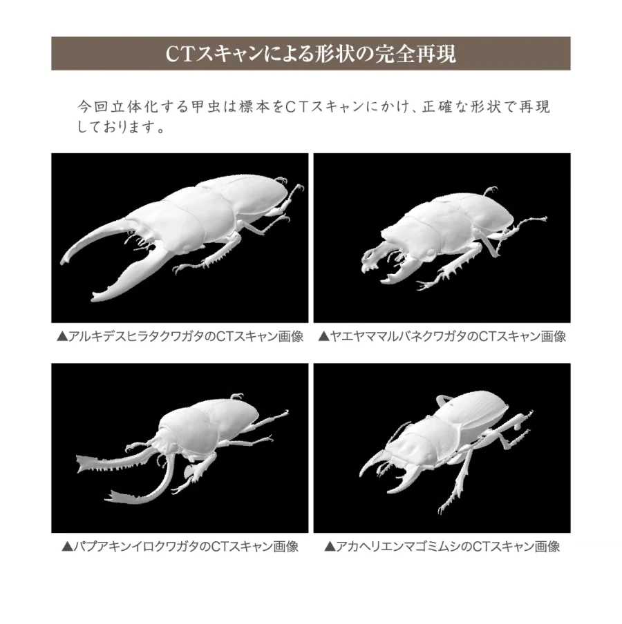 [반다이가샤폰] 생물대도감 쿠와가타(사슴벌레) 13_22.webp