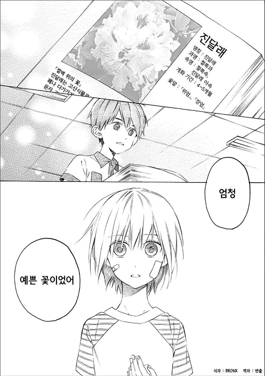 manga_735115_015.webp