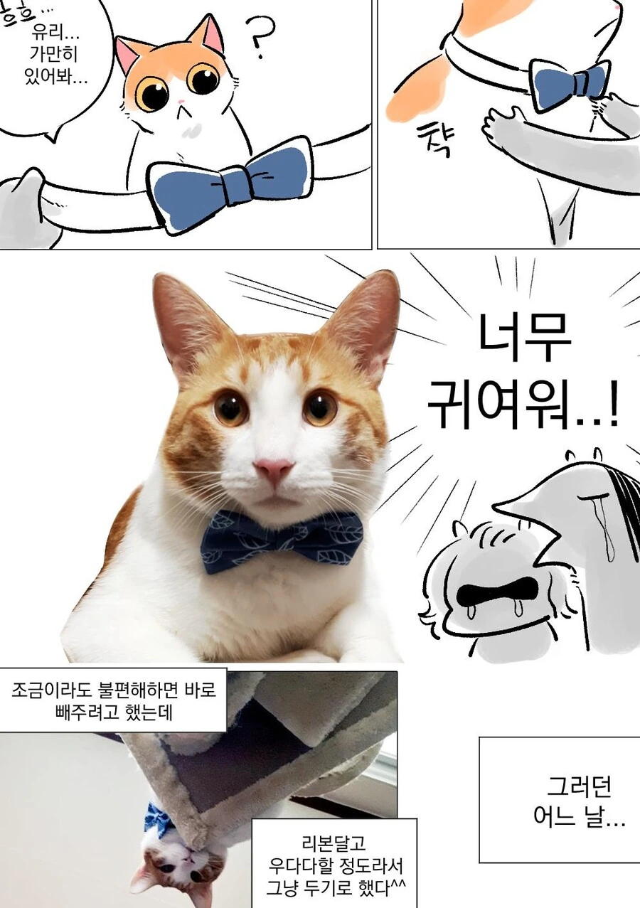 manga_850132_002.webp