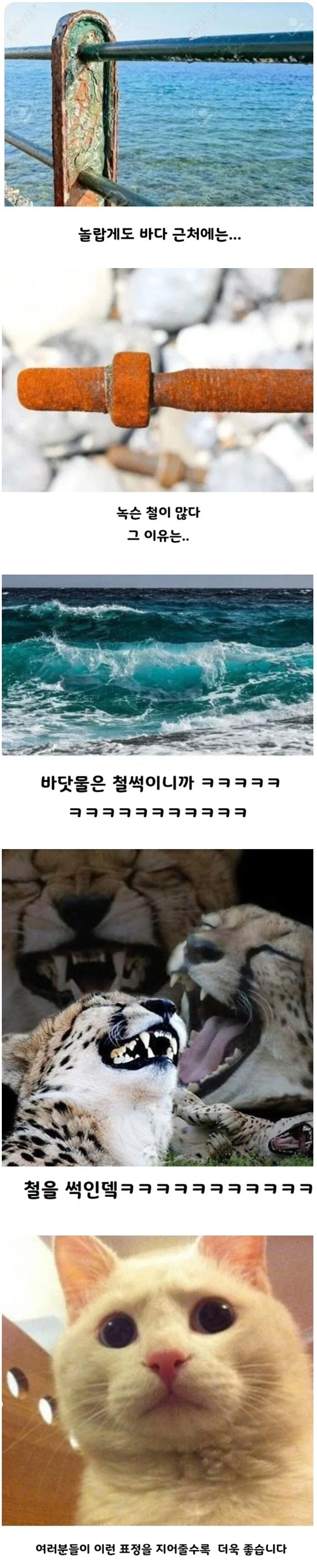 놀랍게도 바다 근처에는 녹슨 철이 많다. 그 이유는….jpg_1.webp