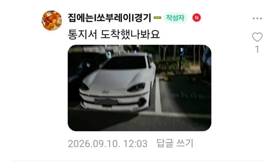 지 옆에 주차 못하게 막는 ㅁㅊㅅㄲ_4.webp