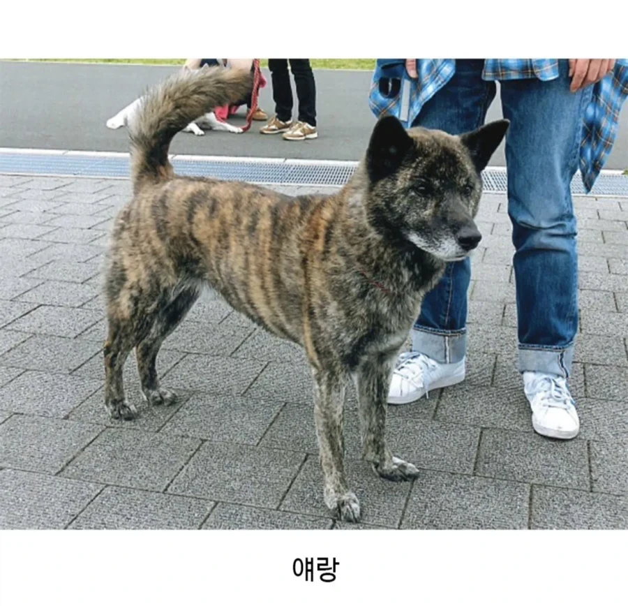 웬 곰이 묶여있나 했는데.._2.webp