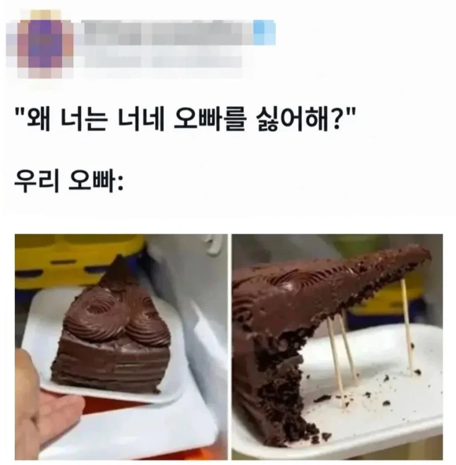 오빠가 너무 싫다는 여동생_2.webp