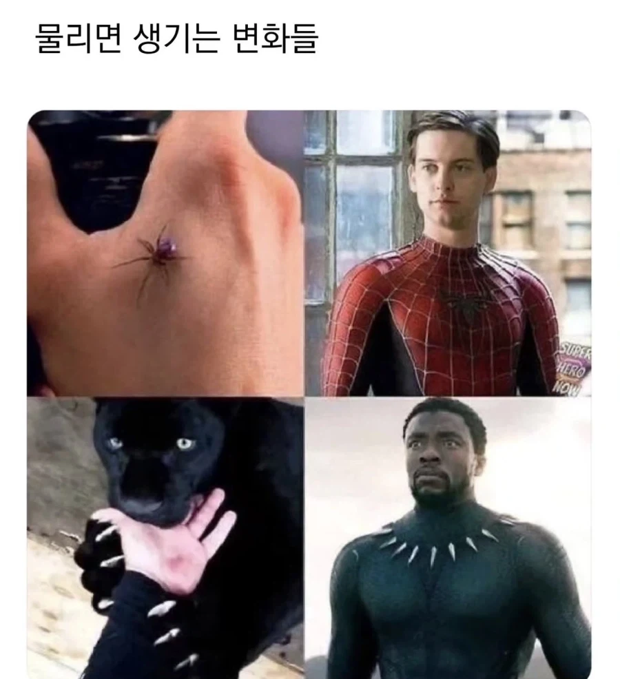 XX에게 물리면 생기는 변화들_1.webp