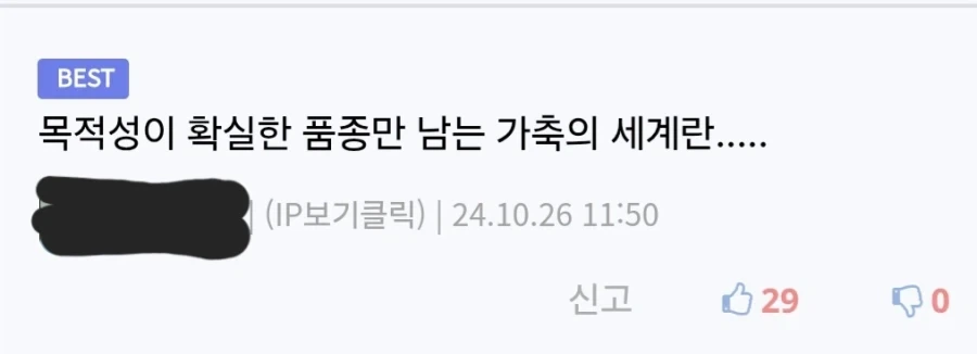 목적성이 확실한 포켓몬_3.webp