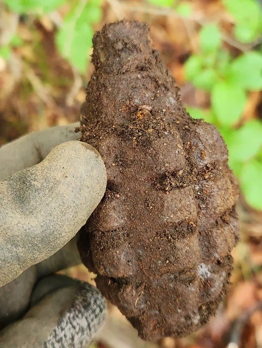 감자 캐듯 수류탄 찾는 디시인.jpg_6.webp