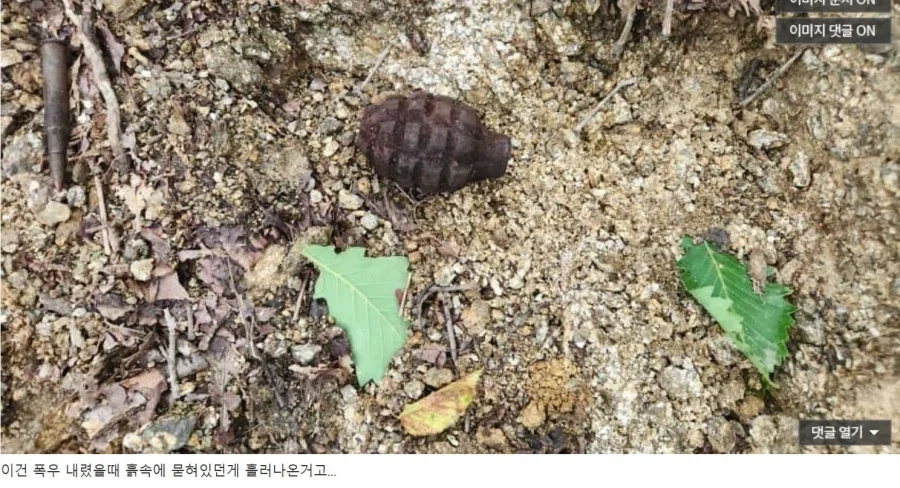 감자 캐듯 수류탄 찾는 디시인.jpg_9.webp