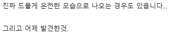 감자 캐듯 수류탄 찾는 디시인.jpg_17.webp