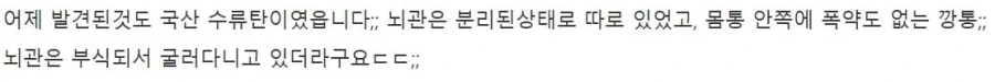 감자 캐듯 수류탄 찾는 디시인.jpg_20.webp