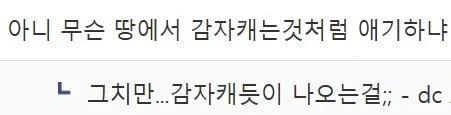 감자 캐듯 수류탄 찾는 디시인.jpg_26.webp