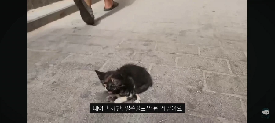 전혀 예상 못한 모로코 사기 수법_6.webp