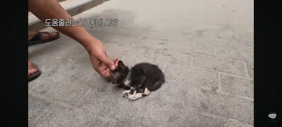 전혀 예상 못한 모로코 사기 수법_7.webp