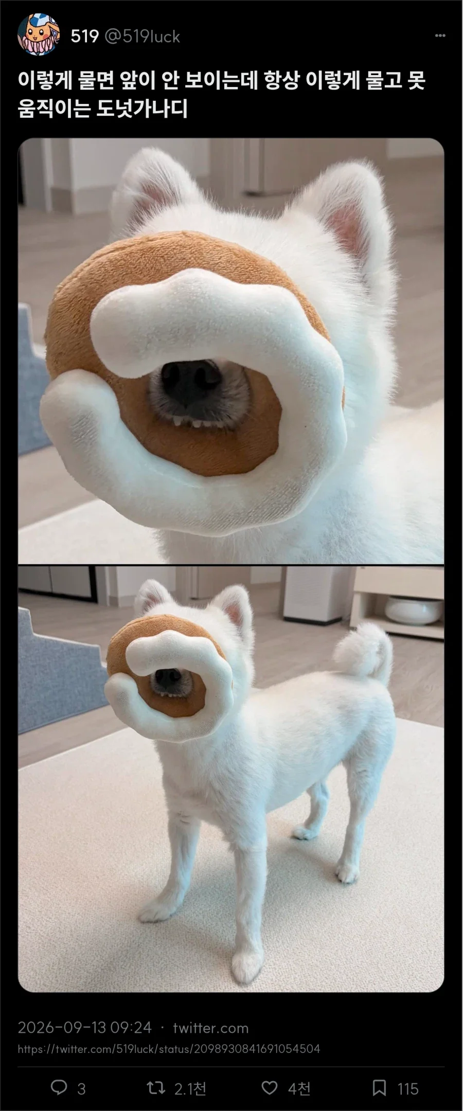 도넛가나디_1.webp