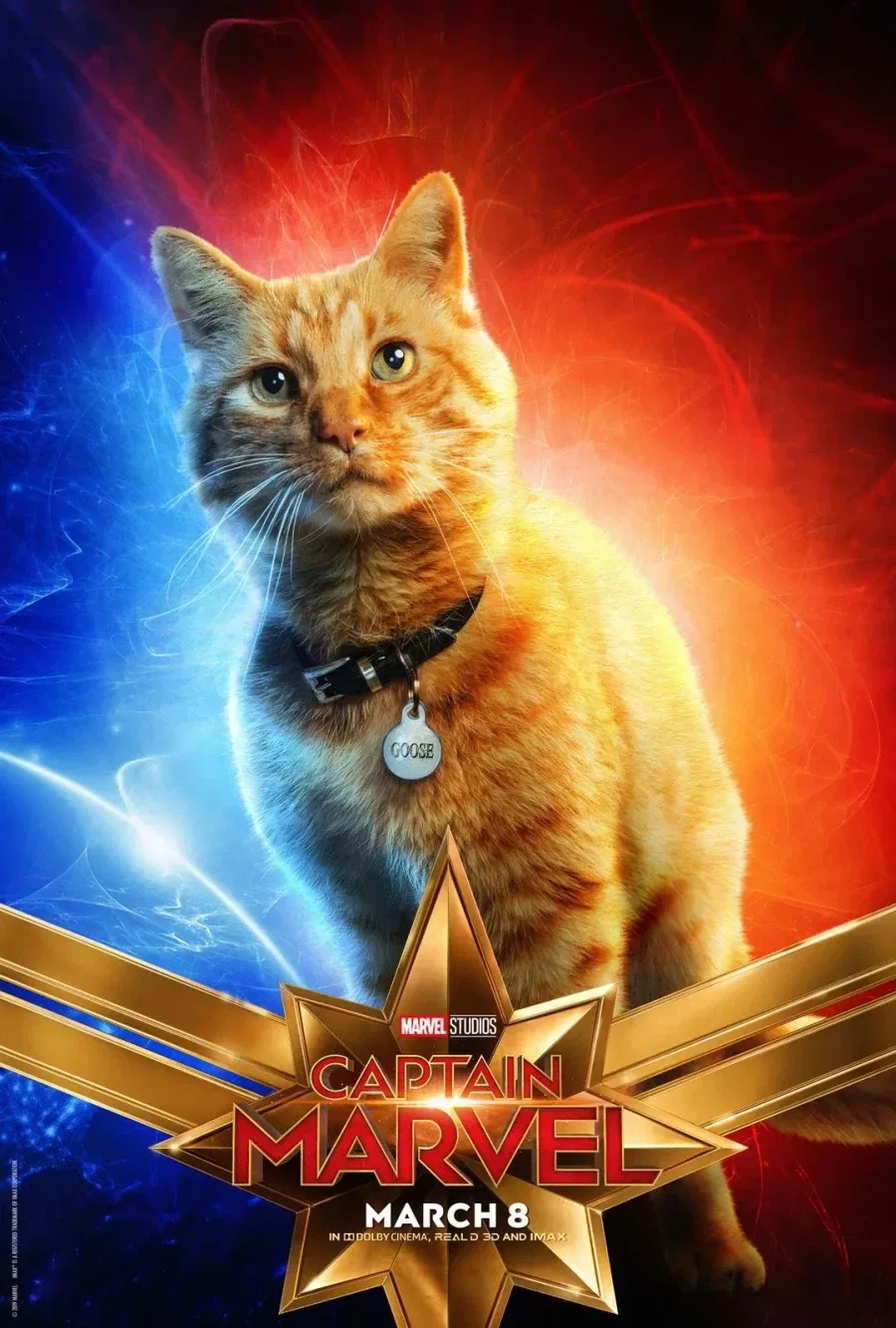 MCU) 퓨리가 정체가 들어나기 전까지 구스를 평범한 고양이로 안 이유_1.webp
