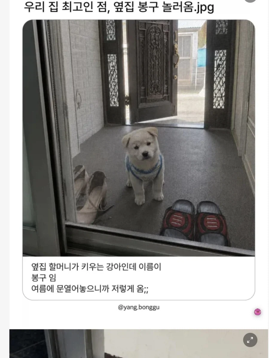 자기네 집이 최고인 이유_1.webp