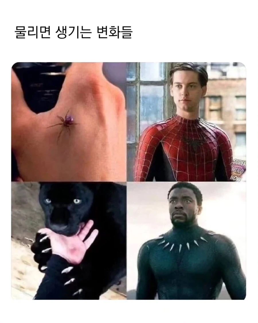 물리면 생기는 변화들_1.webp