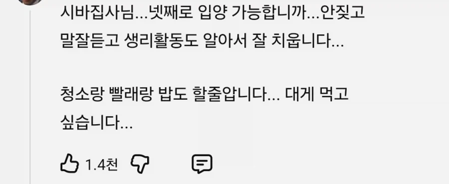 애견 유튜버한테 입양 가능하냔 댓글들이 달린다_2.webp