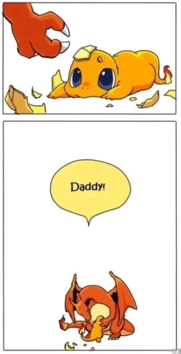 파이즈리의 일생.jpg_1.webp