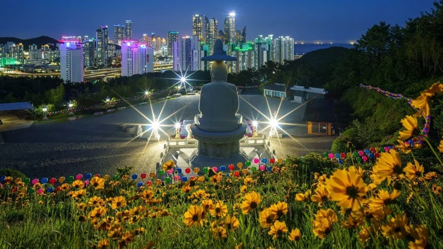 지극히 한국적인 야경을 보여주는 곳들.jpg_3.webp