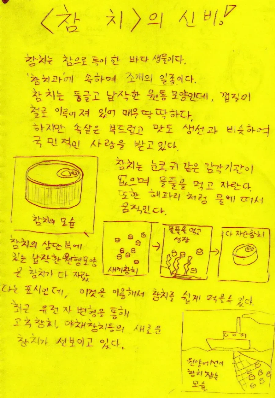 참치의 제조 과정_2.webp